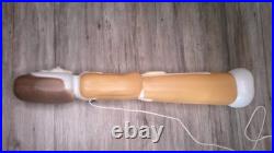 VTG. Thanksgiving Don Featherstone blow mold lady pilgrim figure lights up US