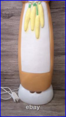 VTG. Thanksgiving Don Featherstone blow mold lady pilgrim figure lights up US