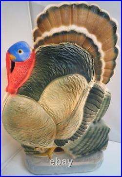 Vintage 25 Union Don Featherstone Turkey Thanksgiving Blow Mold